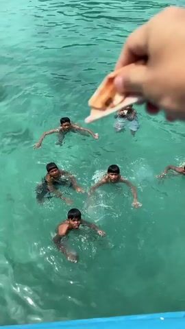 The video shows a group of about six young boys swimming in very clear turquoise water near a boat. A hand is seen holding what appears to be some money above them. The boys are reaching and splashing, trying to grab the money as it is thrown into the water. They seem excited and happy.