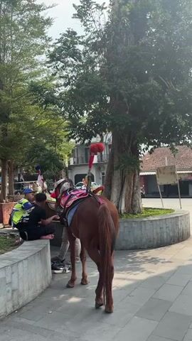 The video shows a street scene with several horses adorned with colorful saddles and decorations. In the foreground, a brown horse stands with its back to the camera, saddled and ready. To the left, two men sit on a low concrete wall, one wearing a yellow and blue vest, possibly a uniform. Another horse, this one lighter in color, is visible further into the scene, also saddled. In the background, there are trees, buildings, and other people walking around. The overall impression is of a public space where horse rides are offered, likely in a warm, sunny climate given the greenery and bright lighting. The atmosphere appears relaxed and casual, with people waiting or interacting near the horses.