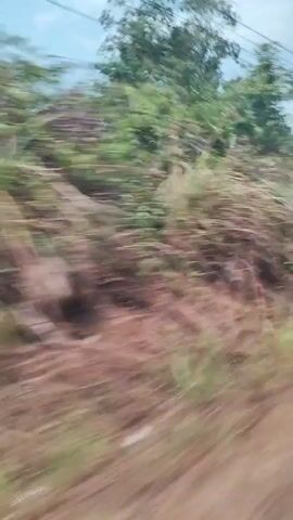 The video shows a blurred, fast-moving view from a vehicle. The scene is predominantly green and brown, indicating an outdoor environment with vegetation and dirt. The movement suggests the vehicle is traveling along a road, likely in a rural or natural setting. There are indications of trees, bushes, and possibly power lines overhead. The blurriness makes it difficult to discern specific objects or people, but the overall impression is of a landscape passing by at speed.