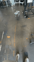 Robots demonstrated in laboratory facility during April afternoon session