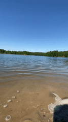 Family enjoys morning lake outing in Novyi, Russia