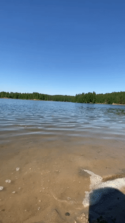 Family enjoys morning lake outing in Novyi, Russia