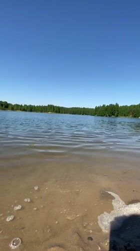 Family enjoys morning lake outing in Novyi, Russia