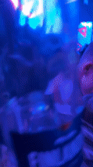 Nightclub crowd under colorful lights in Kiten, Bulgaria