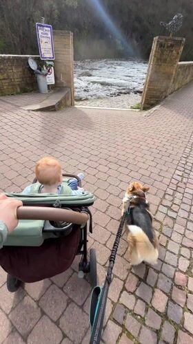 Woman with baby, corgi strolls cobblestone riverfront in Meisenheim