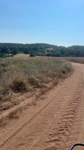 A first-person perspective video shows a vehicle driving along a dirt road. The road curves to the right and is surrounded by dry grass and vegetation. In the distance, a line of trees forms a dark green border against a bright blue sky. The sun is shining, creating a clear and sunny day. The vehicle appears to be an ATV or a similar vehicle with a visible handlebar and a red frame. The road shows tire tracks from previous use. The camera pans slightly to the left, revealing more of the grassy fields and the distant treeline. The video has a slightly shaky quality, indicating movement.