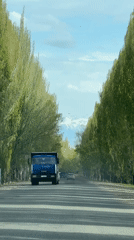 Traffic flows through tree-lined road tunnel in Kyrgyzstan