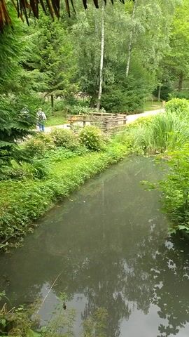 This video shows a lush green natural scene, likely a park or garden, with a body of water flowing through it. The dominant colors are various shades of green from the dense foliage of trees and bushes, and the darker, reflective surface of the water. On the left side of the frame, a path is visible, bordered by wooden fencing and dense vegetation. Further into the scene, there are structures that appear to be part of an enclosure or exhibit, including wooden posts, a small roofed structure, and what might be a feeding apparatus. The overall impression is one of a tranquil, verdant environment.

The video pans slightly, offering a view of the water's surface, which reflects the surrounding trees and sky. The water appears calm, with some ripples indicating a gentle flow. The vegetation is varied, with tall reeds or grasses growing along the water's edge and mature trees forming a canopy overhead. The presence of the structures suggests this may be an outdoor exhibit in a zoo or a wildlife park.

The time of day appears to be daytime, with diffused light suggesting possibly overcast or partly cloudy conditions, as there are no harsh shadows. The atmosphere conveyed is peaceful and natural. There are no visible people actively engaged in any specific activity, though there might be a glimpse of a person in the distance near a building or structure on the left side. The setting evokes a sense of natural beauty and perhaps a place for animals to inhabit or be observed. No text is visible in the video.
