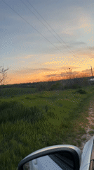 Passenger films sunset views during rural car journey