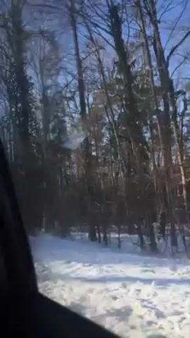 The video, captured from within a car moving along a snowy path, shows a forest with tall, bare trees and some evergreens against a bright, clear sky. The snow is undisturbed on the ground, and the camera angle is upward, focusing on the trees. The interior of the car is visible as a dark shape on the left side of the frame. There are audible voices in the background, speaking in a language other than English, mentioning the number three.