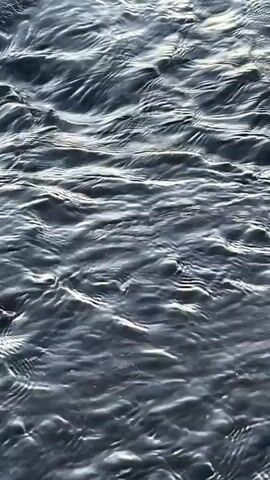 The video shows a close-up, high-angle view of dark, choppy water. The surface of the water is covered in ripples and waves, creating a dynamic texture. Sunlight reflects off the peaks of the waves, creating bright highlights against the darker troughs. The water appears to be in motion, possibly a river or the ocean. There are no people or other objects visible in the frame. The lighting suggests it is daytime.