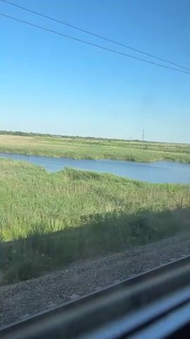The video shows a view from a train window. Outside the window, there is a body of water surrounded by tall green reeds and grass. In the distance, there are more fields and some power lines. The sky is clear and blue. The train tracks are visible in the foreground. The video is short and shows the scenery as the train moves.