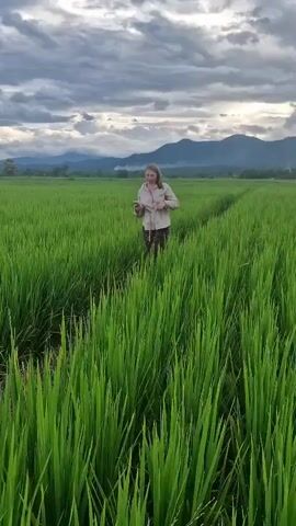 A young woman walks through a lush green rice paddy. The sky is cloudy with mountains visible in the distance. She is wearing a light-colored jacket over a leopard-print skirt and holding a dark object, possibly a phone, in her left hand. She pauses and smiles at the camera.