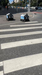 Delivery robot crosses Moscow street on sunny afternoon