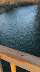 Evening scenes captured along river and streets in Busmantsi