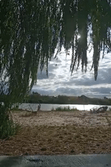 Drooping tree branches frame a waterside view in rural Ukraine
