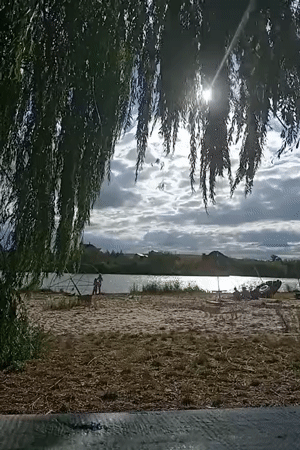 Drooping tree branches frame a waterside view in rural Ukraine