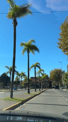 Routine drive and walk documented through Tigre, Argentina streets