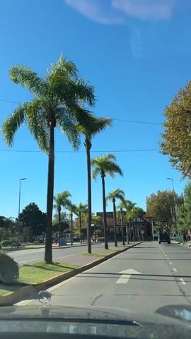 The video shows a view from inside a car driving on a sunny day. The car is moving along a road lined with palm trees. On the right, there is a McDonald's restaurant. A few other cars and people can be seen in the background. The sky is clear and blue.