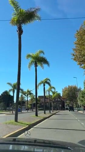 Routine drive and walk documented through Tigre, Argentina streets
