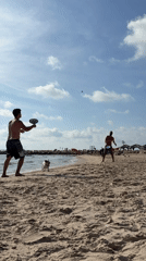 Men play matkot on Tel Aviv beach as dog interrupts