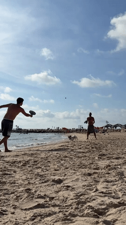 Men play matkot on Tel Aviv beach as dog interrupts