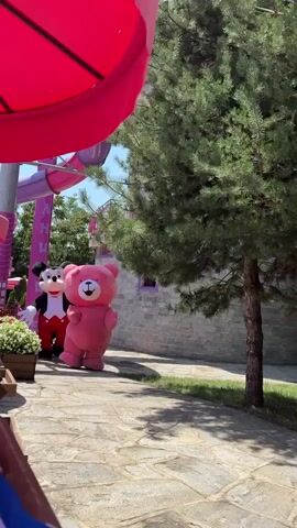 Mickey Mouse and a pink bear mascot are standing outside on a sunny day. Mickey Mouse is wearing a tuxedo with a red bow tie and red pants. The pink bear mascot is standing with its arms out and its mouth open. They are standing on a stone pathway next to a tree and a building. In the background, there is a pink water slide.