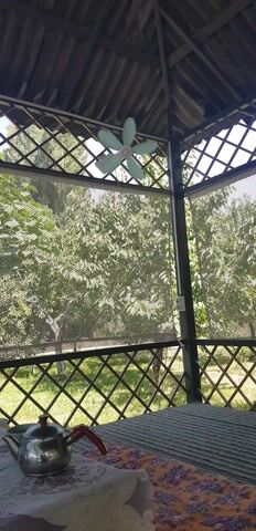 This video shows a view from under a covered outdoor structure, possibly a gazebo or porch, with a thatched roof. The main subjects are the structure itself and the greenery visible through its open sides.

**Objects:**
*   **Fan:** A light blue, rotating fan with five blades is mounted on a metal pole on the left side of the frame.
*   **Kettle:** A silver kettle with a red handle is visible on the right side of the frame, resting on a table covered with a patterned tablecloth.
*   **Mesh screens:** Large sections of mesh screen are installed on the sides of the structure, obscuring a clear view of the outside but allowing dappled sunlight to pass through.
*   **Wooden lattice:** A diamond-shaped wooden lattice pattern is visible along the sides of the structure and supporting the roof.
*   **Electrical outlet:** A white electrical outlet is mounted on a metal beam.

**Scene and Setting:**
The scene is outdoors, under a shaded structure that seems to be situated in a garden or yard. The background is dominated by lush green foliage, suggesting trees and possibly grass. The bright sunlight filtering through the leaves indicates it is daytime. The presence of a kettle and a table suggests a place for relaxation or outdoor dining. The overall impression is one of a tranquil, possibly warm, outdoor setting.

**Activity or Event:**
The primary activity is the gentle rotation of the fan, suggesting an effort to create airflow, likely due to warm weather. The camera is stationary, offering a static view of the environment.

**Notable Details:**
*   **Time of Day:** Bright sunlight and dappled shadows suggest it is daytime, likely late morning or afternoon.
*   **Weather:** The sunlight and the use of a fan imply warm weather.
*   **Location Cues:** The description mentions Kyzyl-Saray, Kyrgyzstan, which could imply a rural or semi-rural setting with abundant vegetation.
*   **Emotions:** The scene evokes a sense of calm and relaxation, typical of a peaceful outdoor setting on a warm day.

**Visible Text:**
There is no discernible text visible in the video.