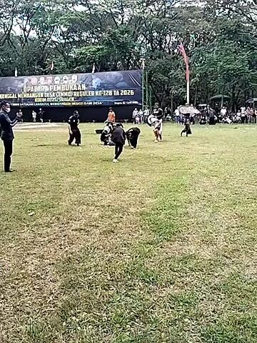 The video depicts a performance on a grassy field with trees and a crowd in the background. In the foreground, several individuals dressed in black are interacting with a person lying on the ground, seemingly enacting a scene.  A banner is visible in the background, with text written on it. A person standing to the left is observing the performance. The camera is static.