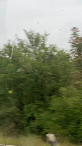 The video shows a blurry, rain-streaked view from a moving vehicle. The landscape consists of trees, fields, and a road. The weather appears overcast. In the foreground, there is a blurry railing. The camera is pointed out a window, and the motion suggests the vehicle is traveling. The trees exhibit varying shades of green and brown, indicating foliage. The fields are a mix of green vegetation and brown soil, with some areas appearing recently tilled. The road is wet, suggesting rain. The overall impression is that of a scenic drive through a rural area on a damp day.