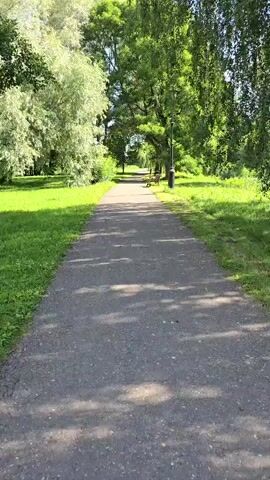 The video shows a paved path through a park on a sunny day. Lush green grass lines the path, with trees on either side casting dappled shadows. A lamppost and a bench are visible along the path in the distance. The scene appears peaceful and serene.