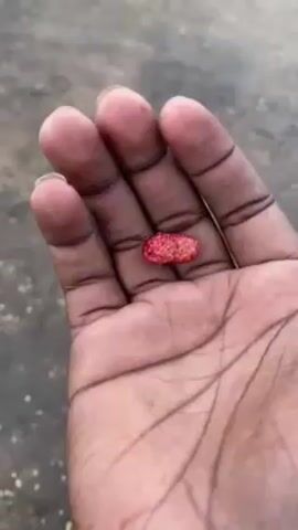A dark-skinned hand holds a small, red berry. The berry is irregular in shape, textured, and looks like a miniature mulberry. The hand is open, showcasing the berry in the center of the palm. The background is a blurry, light gray surface. The person slightly rotates the berry, allowing a view of all sides.
