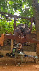 Face-painted performer documented in Nigerian towns over 16 minutes