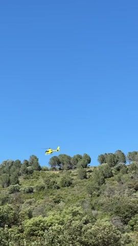 A low-angle, eye-level, static shot reveals a bright yellow helicopter, with black lettering, against a clear blue sky. The helicopter is hovering in the center, above a green, uneven, brushy hill. The hill is covered in a variety of green bushes and trees. The helicopter is in the distance, but clearly visible and recognizable. The sky is a clear, bright, solid blue.