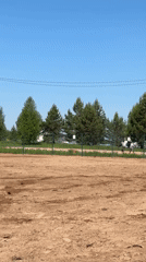 Morning horseback riding sessions documented at Russian equestrian facility