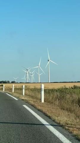 A car is driving down a paved road with a white line on the left side. The road is bordered by a grassy ditch and a field of dry, yellow vegetation, likely harvested crops. In the distance, a row of wind turbines stands against a clear blue sky. Some of the turbines are in motion, with their blades visible. The scene appears to be a rural landscape on a sunny day.