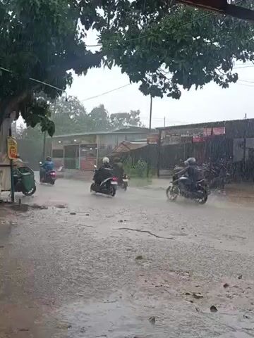 The video captures a street scene in Batam, Indonesia, during a period of heavy rainfall. The time of day appears to be daytime, although the sky is overcast due to the weather. The road surface is visibly wet with numerous puddles, and rain is actively falling, causing splashes and making the environment slightly hazy.

Several vehicles are navigating the wet conditions. Multiple individuals are seen riding motorcycles or scooters; some are wearing helmets, and one person is notably dressed in a red jacket. A silver car, resembling a Toyota Avanza, drives through a substantial puddle on the right side of the road, creating a noticeable splash before proceeding. Another motorcycle follows behind the car.

On the left side of the frame, under the thick canopy of a large tree, a green trash bin or container is visible. The background features various low-rise buildings, which appear to be commercial establishments or workshops, along with some fencing and utility poles with power lines. The sounds of heavy rain are audible throughout the clip. No discernible text is visible on any signs or objects within the video frame.