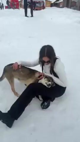 A woman wearing a white turtleneck, black vest, black pants, and black boots sits in the snow petting a medium-sized brown and black dog. The woman has dark hair in braids and is wearing sunglasses. The dog is nestled between the woman's legs and is looking up at her. The background is snowy with a few people and small structures visible in the distance. A hand holding a phone or camera is briefly visible on the right side of the frame.