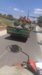 Motorcycle ride through tropical town streets and rural roads
