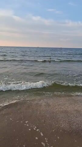 The video shows a view of a beach and the sea. The water is wavy and there are some boats visible in the distance. There are a few seagulls in the water closer to the shore. The sky is partly cloudy. The camera is positioned at ground level, looking out towards the sea. The video appears to be taken at dusk or dawn, as the light is soft and the sky has a pinkish hue.