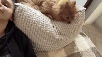 Woman films herself with small dog on cushions in Bulgaria