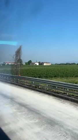 The video is taken from inside a vehicle moving along a road. Outside the vehicle, a rural landscape is visible under a clear blue sky. A green field, possibly a crop, stretches into the distance, with some buildings and trees in the background. A metal guardrail runs along the side of the road, separating it from the field. Two individuals wearing orange safety vests and dark pants are walking along the road next to the guardrail. One of the individuals is looking down at something in their hand, possibly a document. A tall, dried-out tree with a distinctive bent shape stands prominently near the guardrail. The road in the foreground appears to be under construction or has recently been worked on, with a layer of light-colored dust or gravel. The vehicle continues to move, causing the scenery to shift.