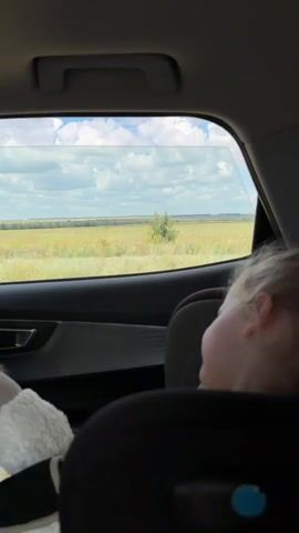 The video is taken from inside a car, looking out the rear passenger window. A young child, seen from behind, is sitting in a car seat, facing forward and looking out the window. The child has blonde hair and is wearing a black car seat. A white stuffed animal is visible in the car seat next to the child. Outside the window, a vast, flat landscape stretches to the horizon. The landscape appears to be a field of dry grass or crops, with some patches of green and possibly some scattered trees in the distance. The sky is bright blue with large, fluffy white clouds. The car appears to be moving, as the landscape outside is slightly blurred. The overall scene depicts a child enjoying a scenic view during a car ride.