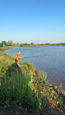 A young boy stands on a grassy bank, holding a very long fishing pole high in the air, over a calm lake under a clear blue sky. The boy is wearing an orange shirt and shorts with a blue hat. The lake is surrounded by green fields with a few buildings visible in the distance. The camera remains still, capturing the entire scene.