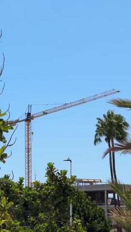 A yellow construction crane is visible against a clear blue sky. In the foreground, lush green foliage and palm trees obscure parts of a building under construction, which appears to have concrete beams and structures. The crane's arm is extended to the right, and a long cable hangs from it. A streetlamp is also visible in the middle ground. The scene suggests ongoing construction in a tropical or warm climate.