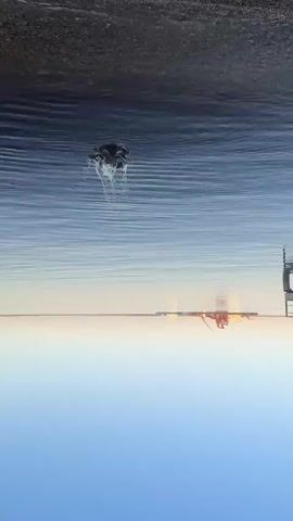 The video shows an underwater view of a body of water. At the top is a dark, undefined surface, likely the shoreline.  Below that is the water itself. A splash appears to be occurring in the middle area, suggesting something has entered the water. In the distance, at what appears to be the horizon line, is a man-made structure with orange and yellow lights. The bottom portion of the video fades into a light blue color, suggesting depth or light reflection.