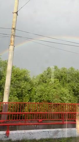The video captures a view from a bridge over a road, with a lush green forest in the background. A prominent red railing runs across the foreground. Above the trees, a vibrant rainbow arches across a cloudy, overcast sky, suggesting recent or ongoing rain. A utility pole with wires stands tall in the middle ground, and a few cars can be seen driving on the road below. The overall scene depicts a natural landscape with a touch of man-made infrastructure, illuminated by the ethereal glow of a rainbow. The weather appears to be fair after a shower, creating a picturesque and somewhat serene atmosphere. The location is identified as Kolomna, Russia. There is no visible text in the video.