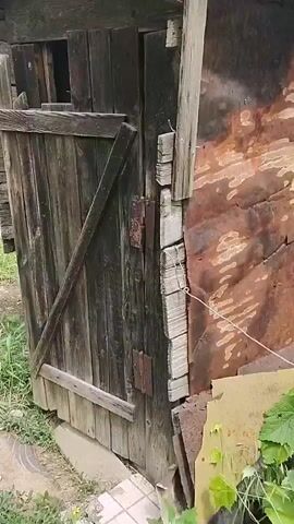 The video shows the exterior of an old, weathered wooden outhouse. The door is partially open, revealing a white toilet seat inside. The interior walls are also made of weathered wood, and the floor appears to be made of planks. The outhouse is surrounded by overgrown grass and foliage.