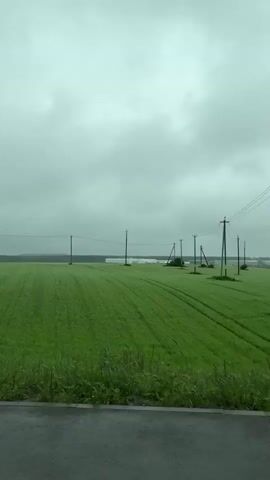 The video depicts a flat, green field under a cloudy, overcast sky. The field appears to be planted with a low crop. Utility poles with power lines run across the horizon. In the distance, there is a long, low building, potentially a warehouse or agricultural structure. A crosswalk sign is visible in the foreground. There is some shrubbery and trees alongside the road. The road surface appears wet. There is music playing in the background.