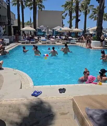 The video shows a clear blue swimming pool on a sunny day. Several people are in the pool, some actively playing with a ball, while others are relaxing. Palm trees surround the pool area, and lounge chairs and umbrellas are visible on the deck. A building with a stage or bar area is visible in the background. People are dressed in swimwear, suggesting a vacation or leisure setting.